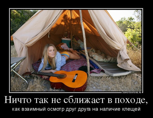 Девушка в палатке. Прикол