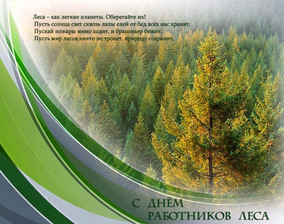 Поздравление Работников Лесной Промышленности